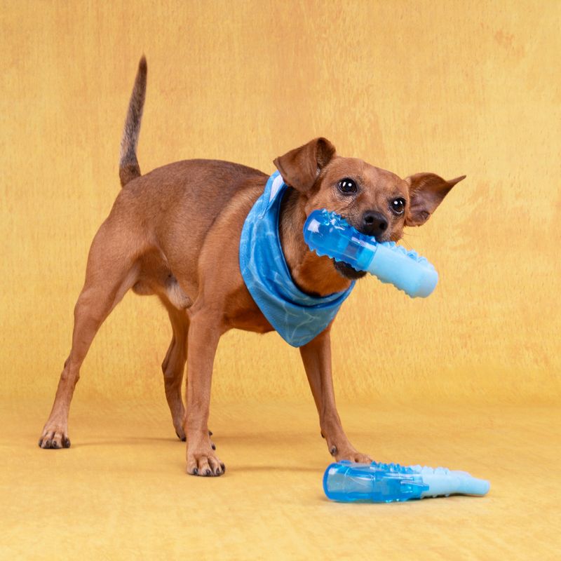 Flamingo Snowy Bone Dog Toy - Blue 13.3 x 7.4 x 3.8cm (L x W x H)