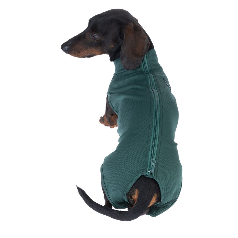 kooa OP-Bodysuit for Male Dogs Size S: approx. 35cm back length