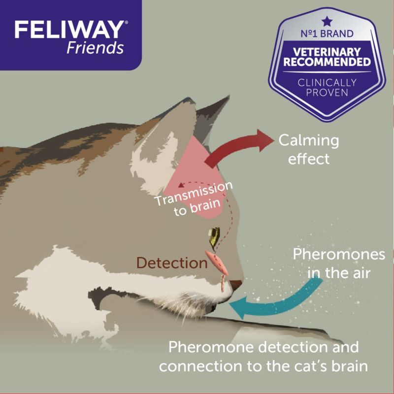 Feliway® Friends 48ml Refill Vial Only