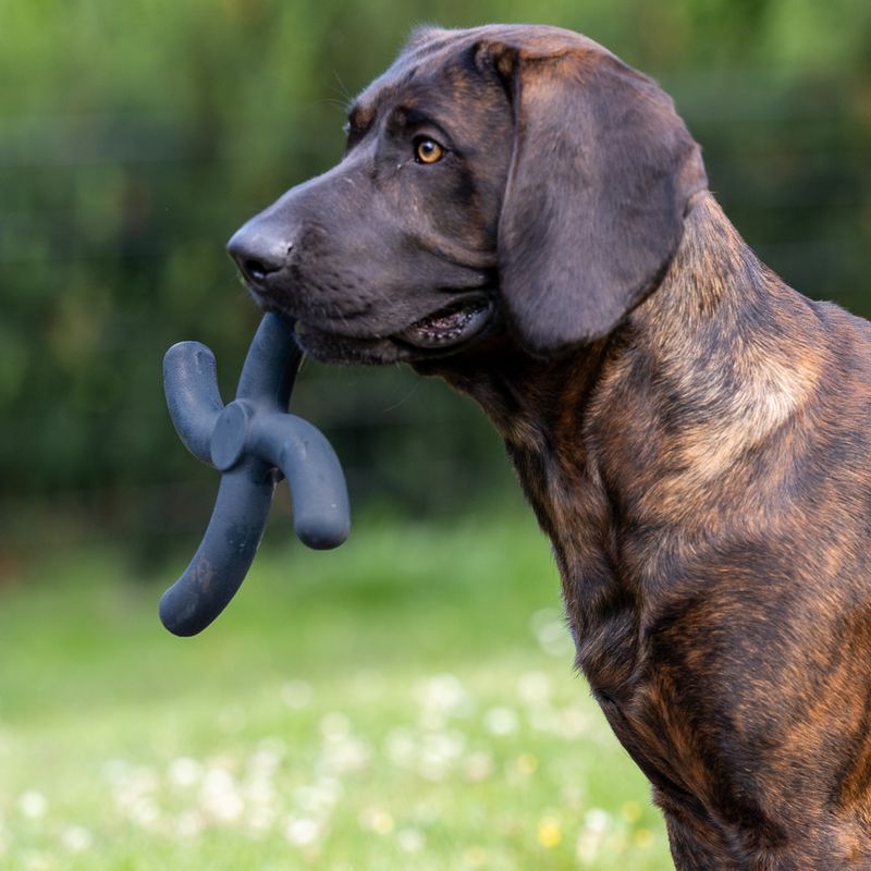 Nomad Tales Bloom Ultra-strong Fetch Toy L x W x H) 24 x 24 x H 3 cm