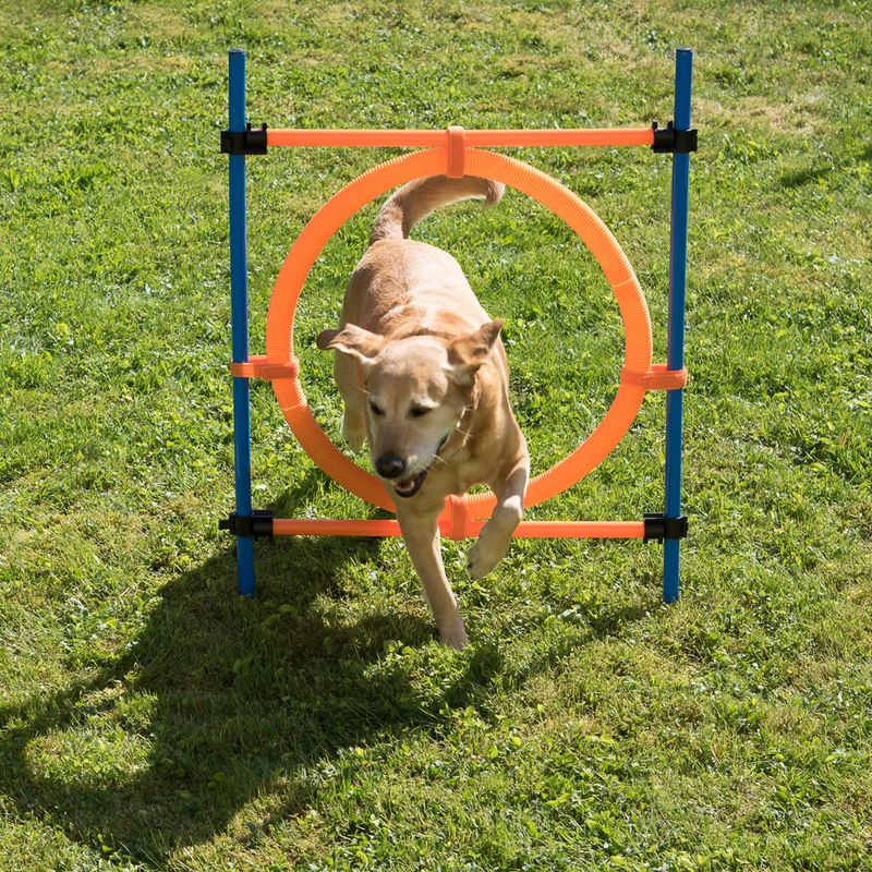 Agility Fun & Sport Jumping Hoop complete set: jumping hoop, diameter 55 cm