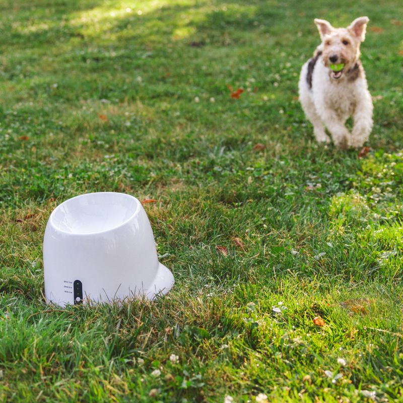 Nomad Tales Bloom Automatic Tennis Ball Launcher Mini: 26 x 27 x 21 cm (L x W x H)