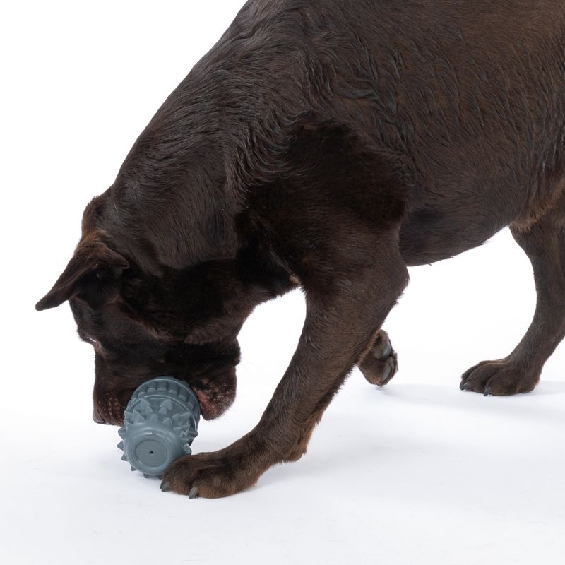 TIAKI Grenade Dog Toy diameter 9 x (H) 15 cm