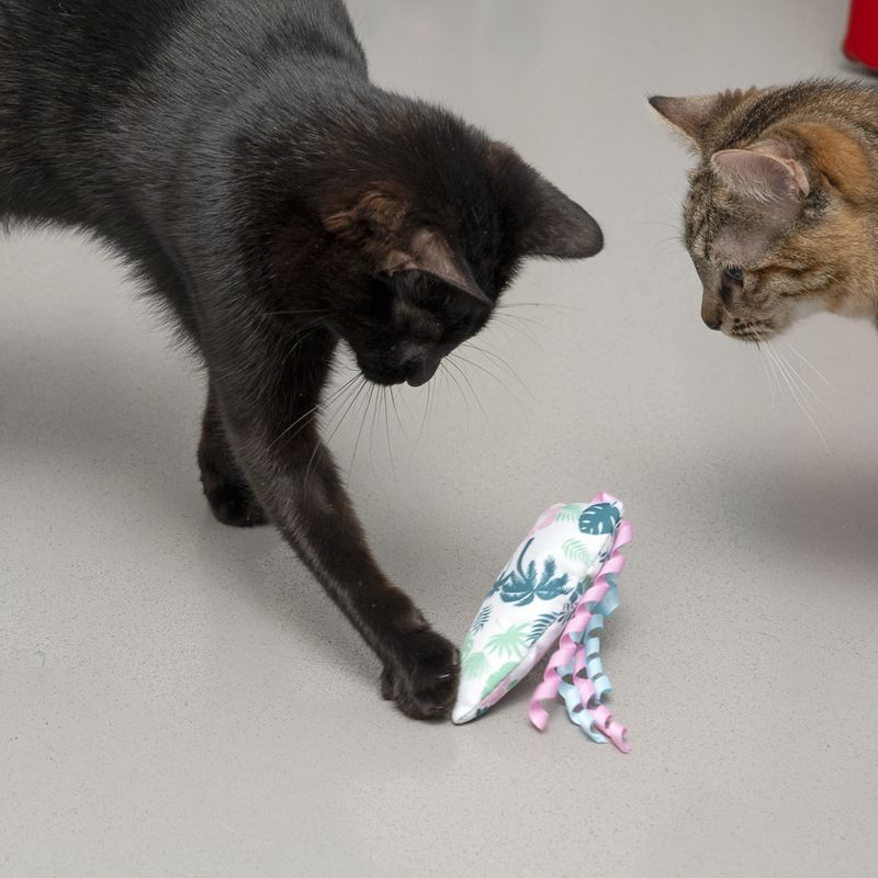 TIAKI Surfboard with Catnip 1 toy