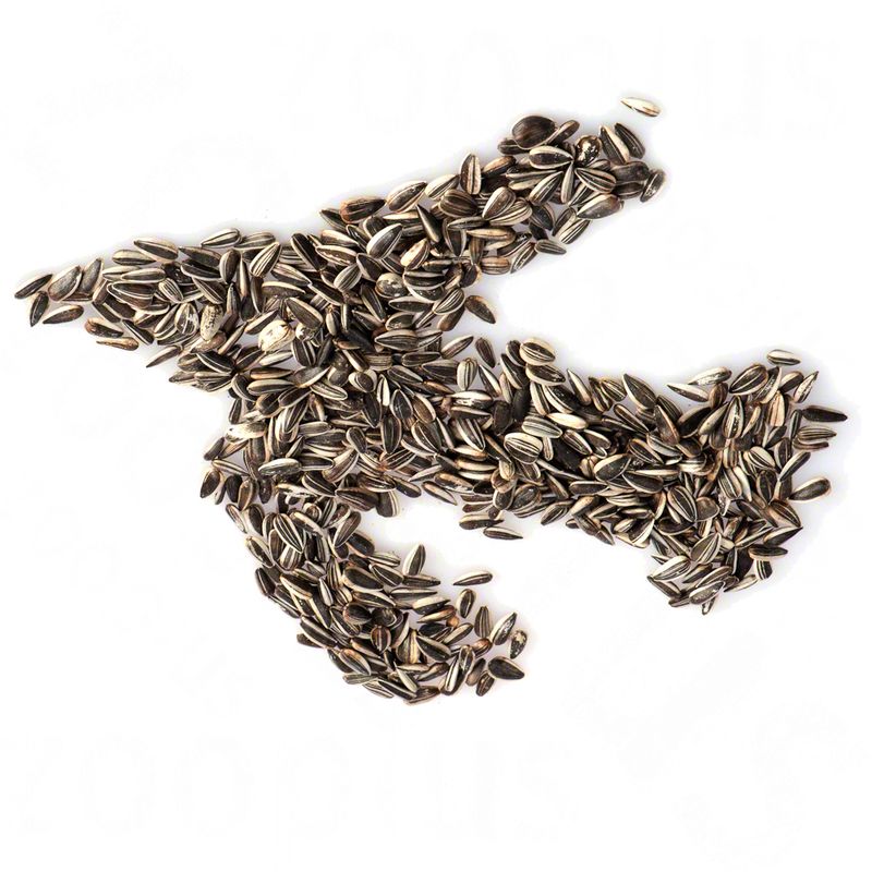 Lillebro Sunflower Seeds for Wild Birds 1kg