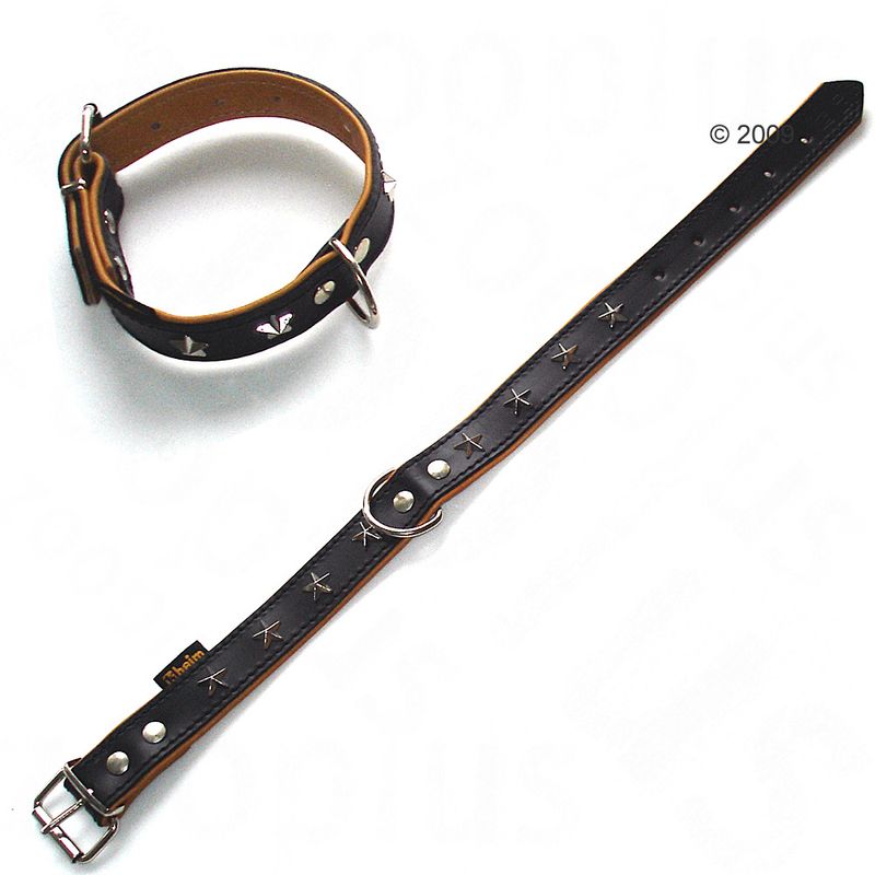 Heim Leather Dog Collar - Stars Size 40