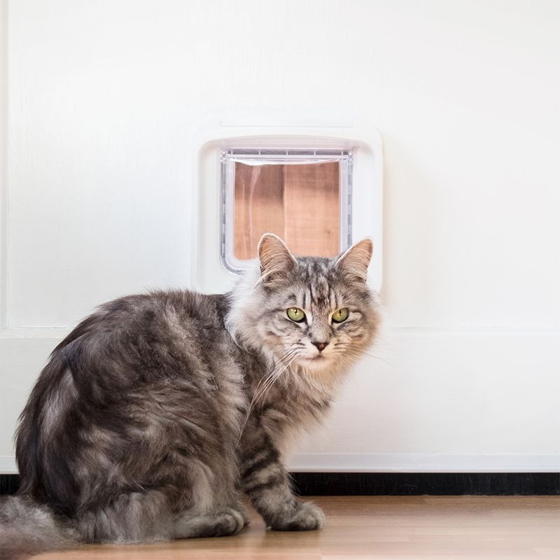 SureFlap DualScan Microchip Cat Flap White Cat Flap
