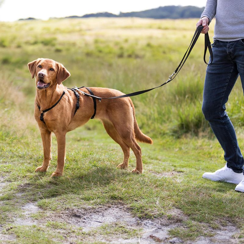 Trixie Panic Harness Stay - Black Size XS–S: 30–40cm chest circumference, 10mm (W)