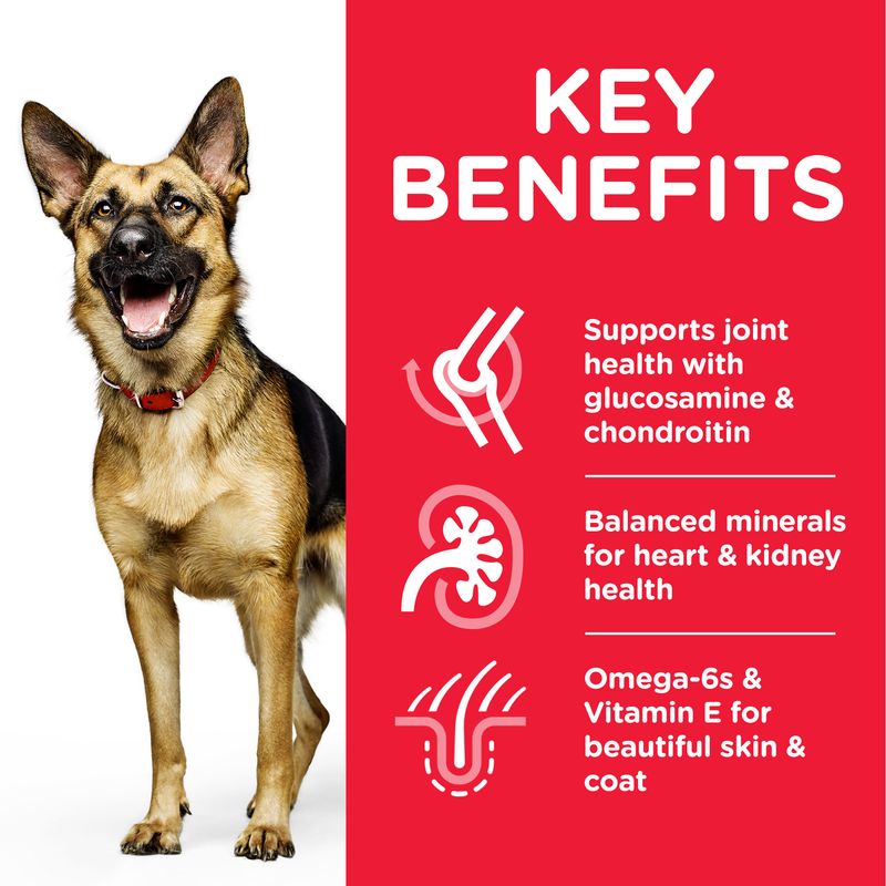 Hill’s Science Plan Mature Adult 6+ Large Breed with Chicken 14kg