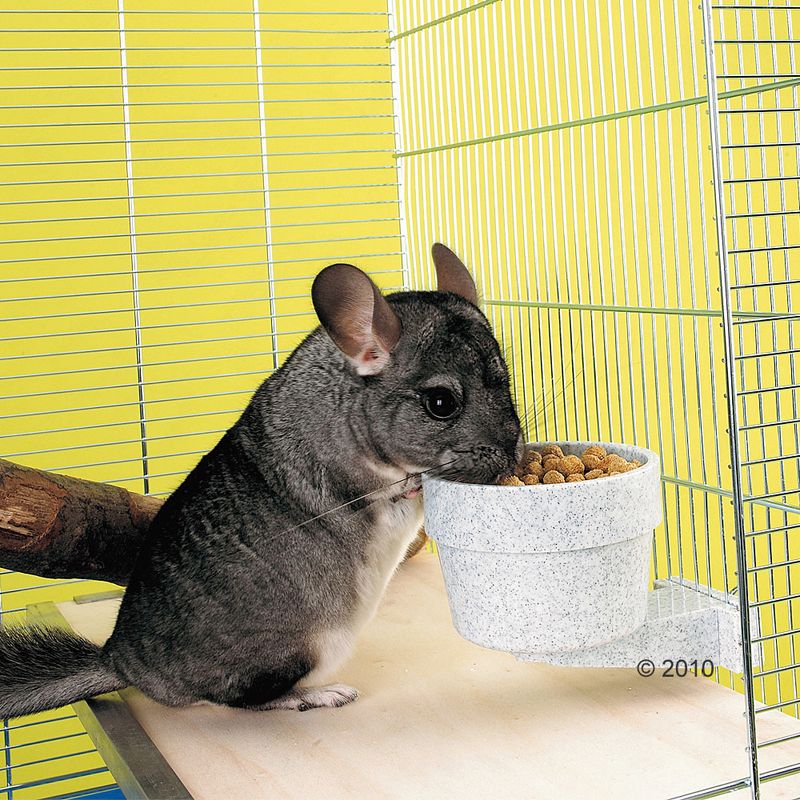 Savic Crock Feeding Dish with Screw Fastening 300ml