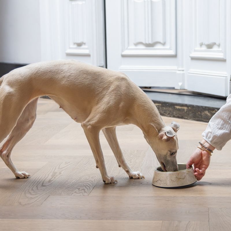 Designed by Lotte Marble Melamine Feeding Bowl - Beige 700ml, diameter 22cm
