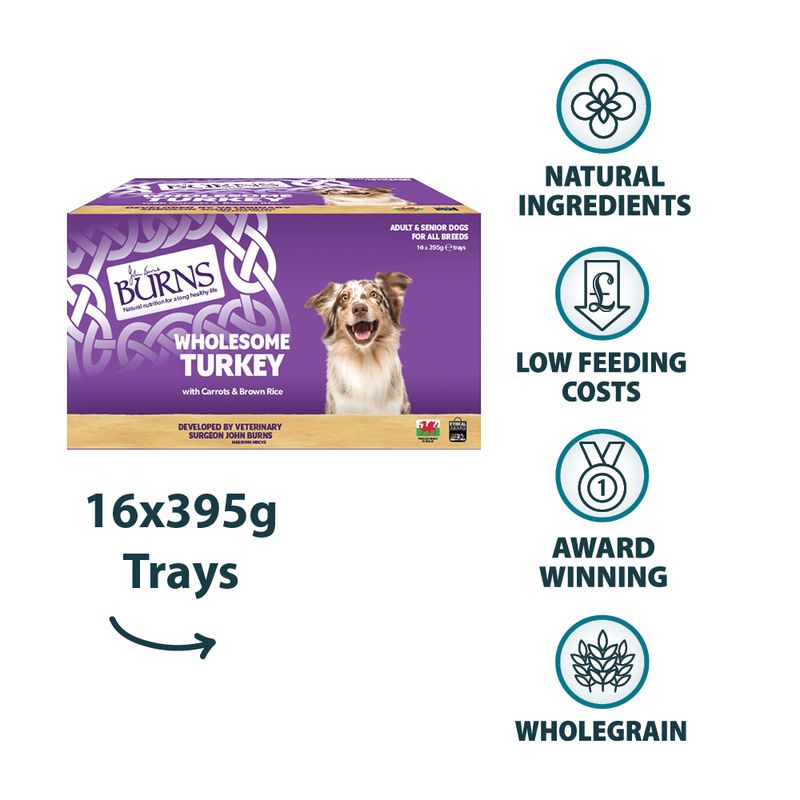 Burns Wet Food for Dogs 16 x 395g Chicken