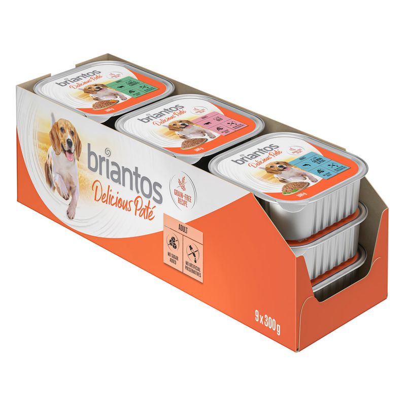 Briantos Delicious Paté 9 x 300g Beef