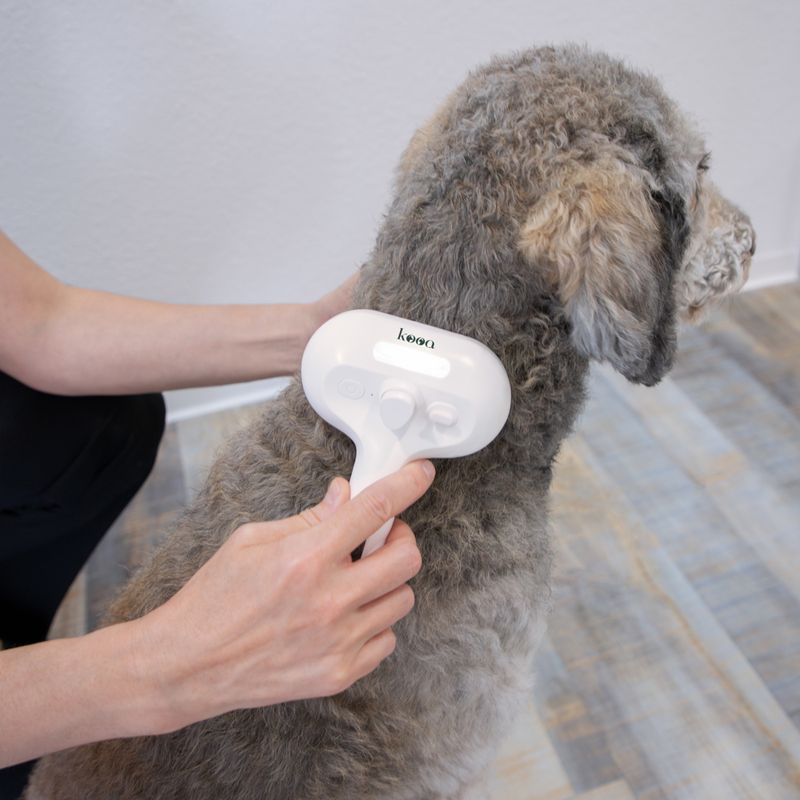 kooa Steam Brush 20 x 12 x 7cm (L x W x H)