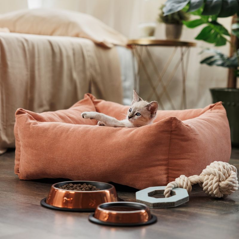 Modern Living Gaffney Cuddly Bed 60 x 60 x 22 cm (L x W x H)