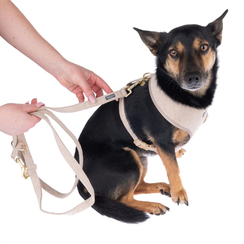 Nomad Tales Calma dog leash, sand 120 cm long, 15 mm wide