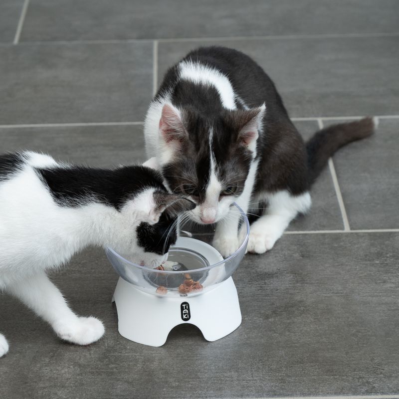 TIAKI Transparent cat bowl 350 ml