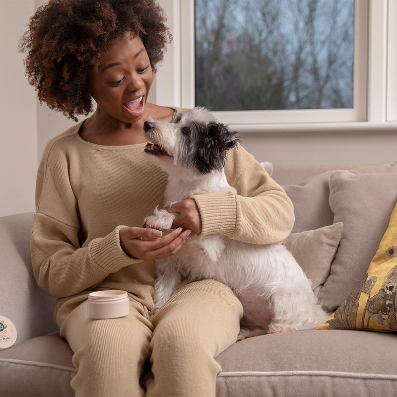 Pet Head On All Paws Paw Butter Oatmeal