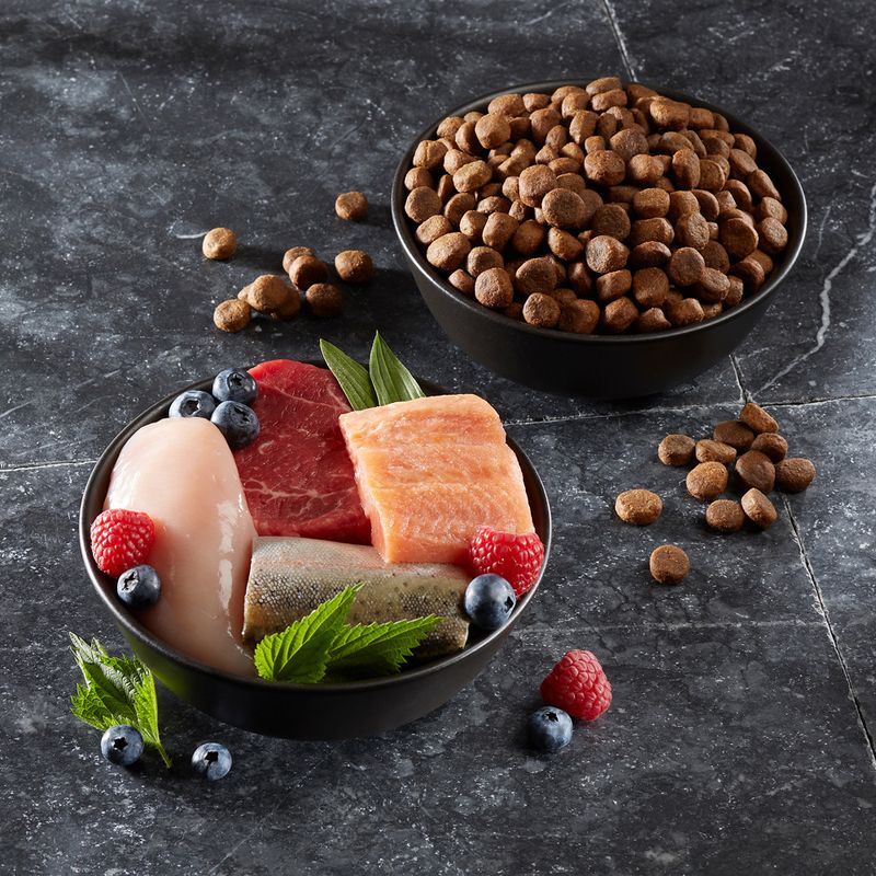 Wolf of Wilderness Adult \