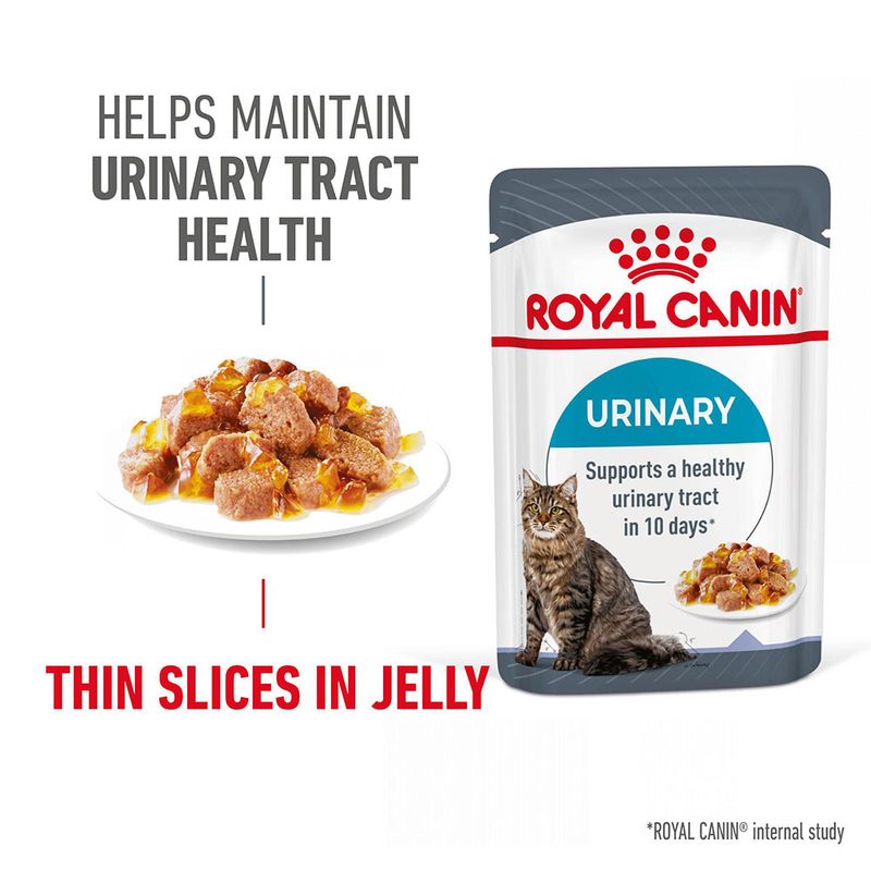 Royal Canin Urinary Care in Jelly 12 x 85g
