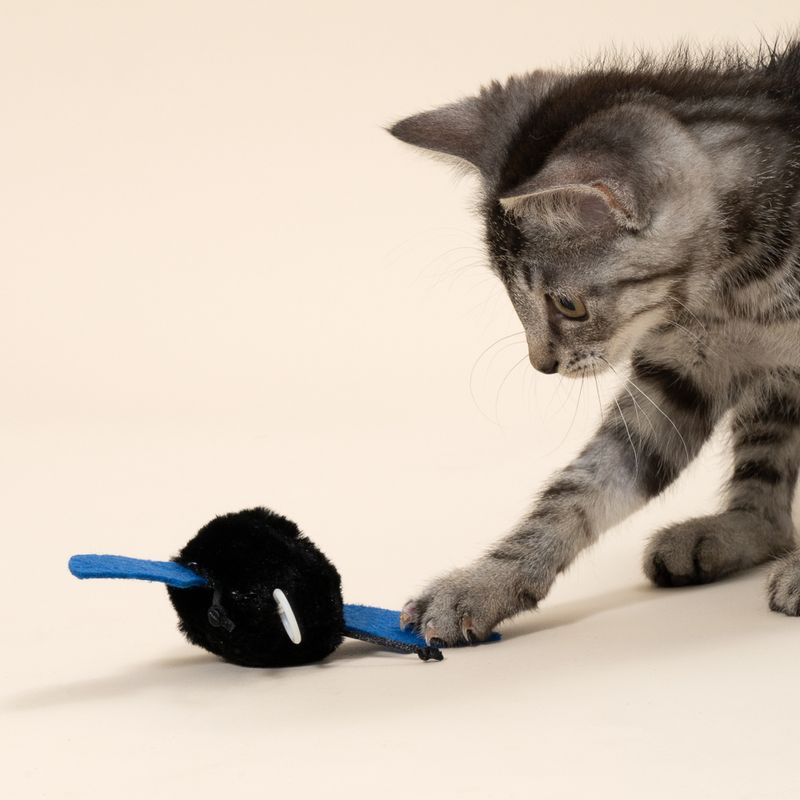 TIAKI Vibrating Bat with Retracting Pull String Cat Toy 1 Toy