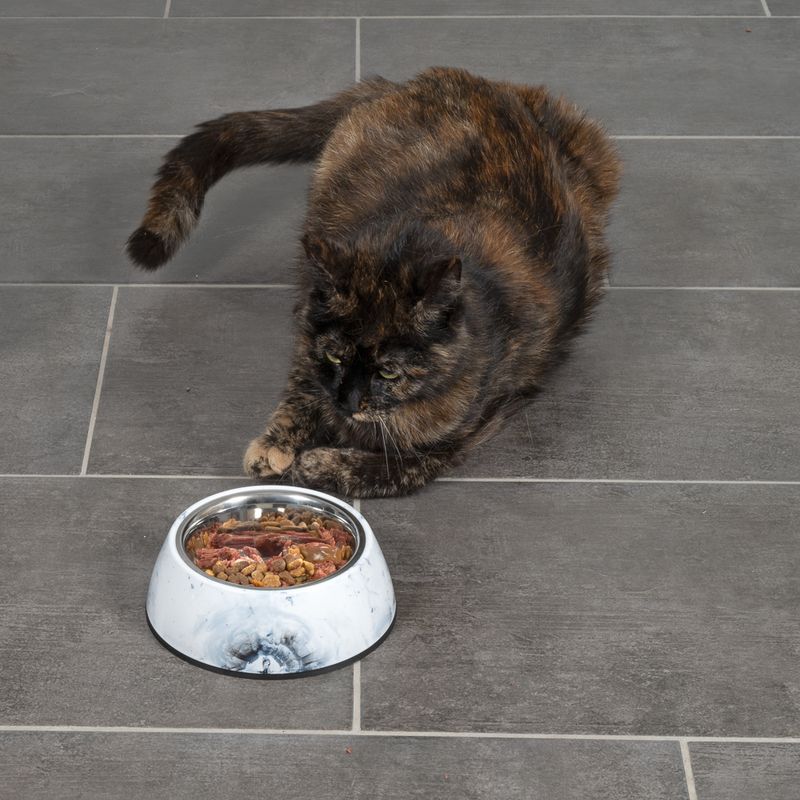 Modern Living Athens Cat Bowl 400ml