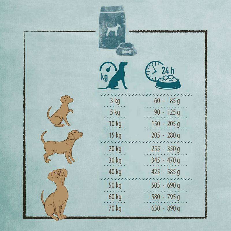 Rosie's Farm Adult Seaside Feast - Salmon with Amaranth 1kg