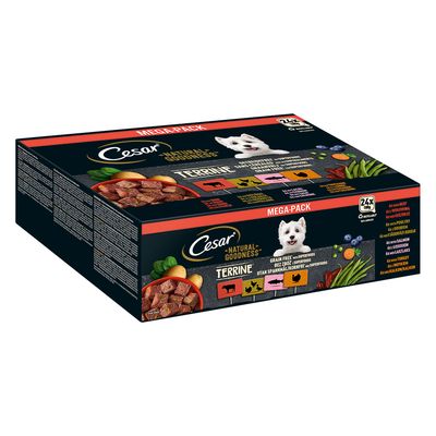 Cesar Natural Goodness Grain-Free with Superfoods 24 x 100g Casserole in Gravy (Salmon, Chicken, Beef, Turkey)