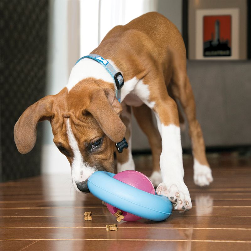 KONG Gyro for Puppies 1 Toy