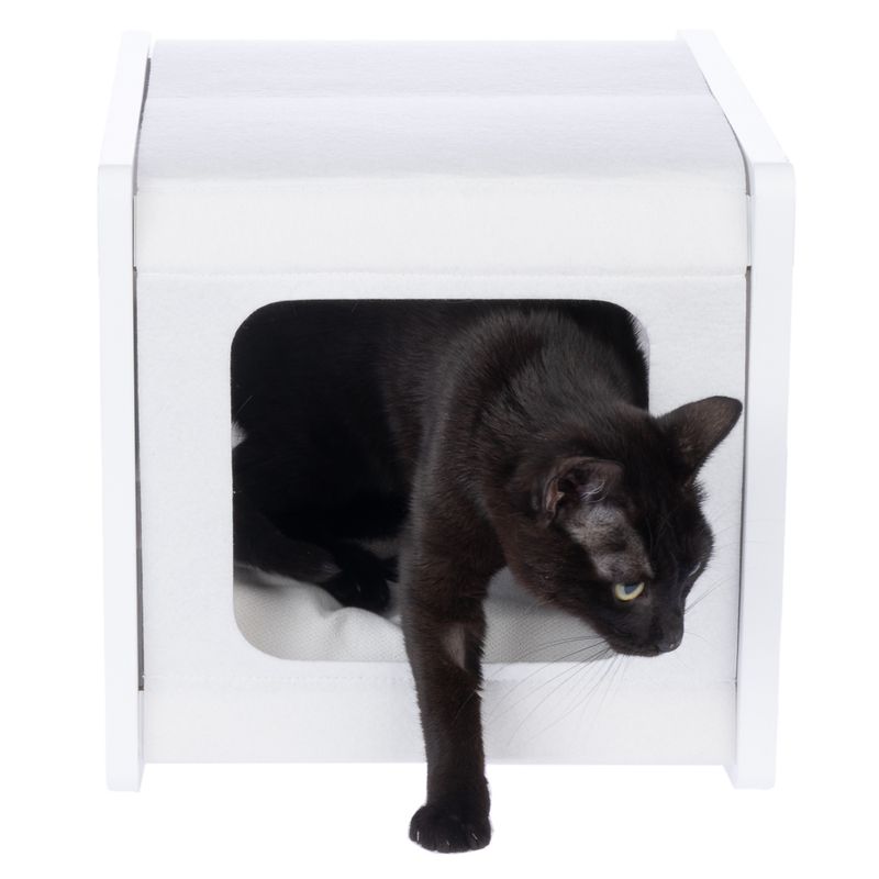 Modern Living San Francisco Den Black