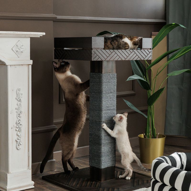 Modern Living Fergana scratching post dark brown / grey