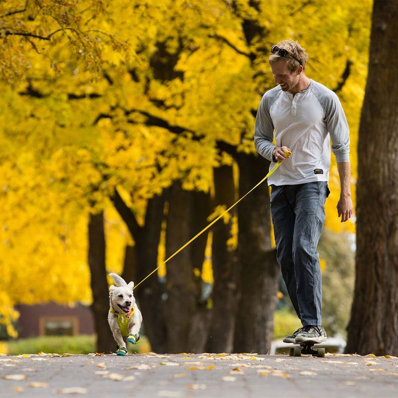 RUFFWEAR Flagline Leash Alpine Pink, 190 cm lang, 20 mm breit