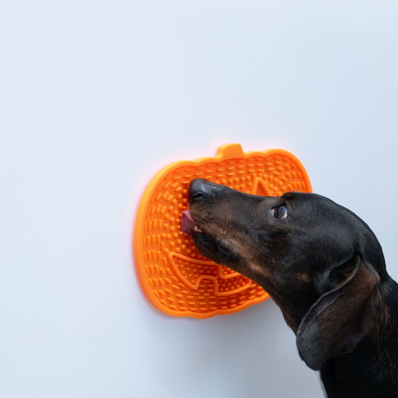 TIAKI Pumpkin Silicone Lick Mat 23 x 16.5 x 1cm (L x W x H)