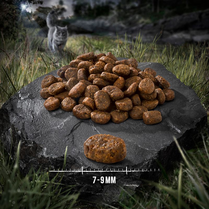 Wild Freedom Adult \