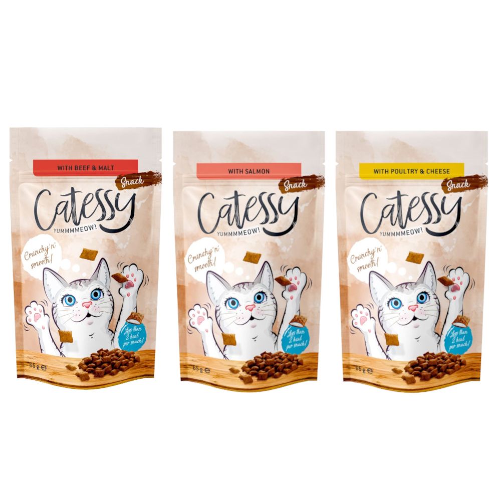 Catessy Crunchy Snacks Mixed Trial Pack 3 x 65g 3 Varieties