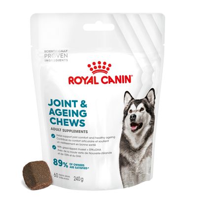 Royal Canin Joint & Ageing Adult Supplement Chews 240g (60 pieces)