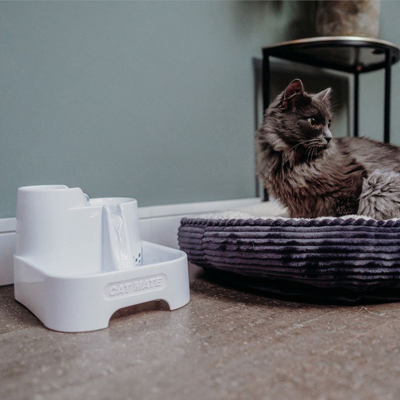 Cat Mate Drinking Fountain 2l
