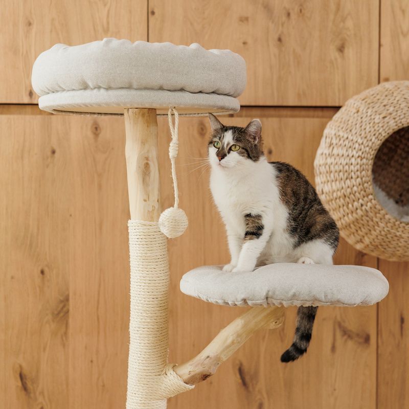 Modern Living Brixen Cat Tree Cream / natural