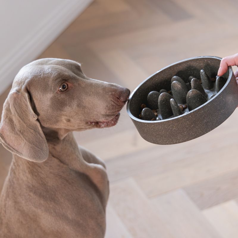 Designed by Lotte Bamboo Anti-Slip Dog Bowl 800ml