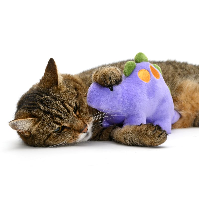 Stella Cat Toy 1 Toy