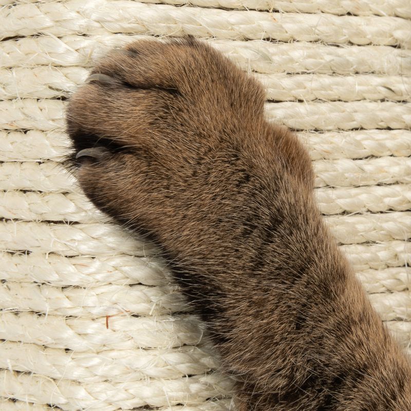 Natural Paradise Scratching Tree - Orchid M Cream