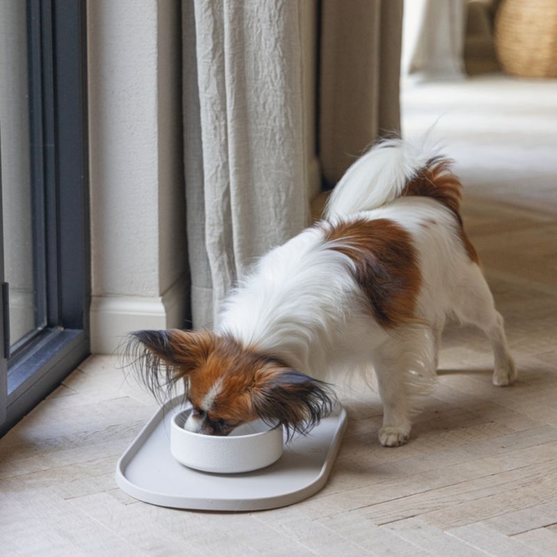 Designed by Lotte Noor Dog Bowl 410ml / 14cm (W)
