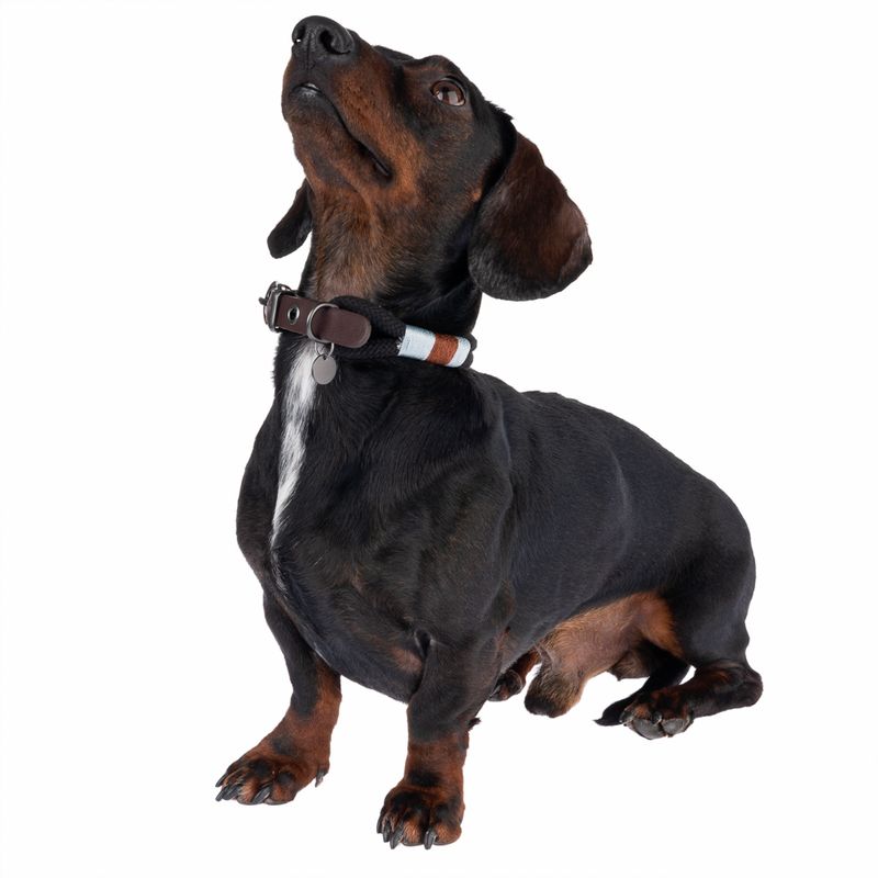 Nomad Tales Spirit Collar, ebony Size XS: 30-36 cm neck circumference