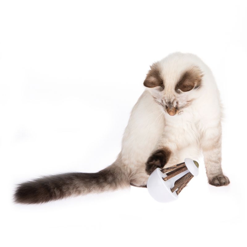 Rocky Cat Toy with Catnip 1 Toy