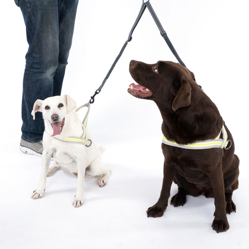 TIAKI Double Bungee Lead Extension Length: approx. 40-70cm