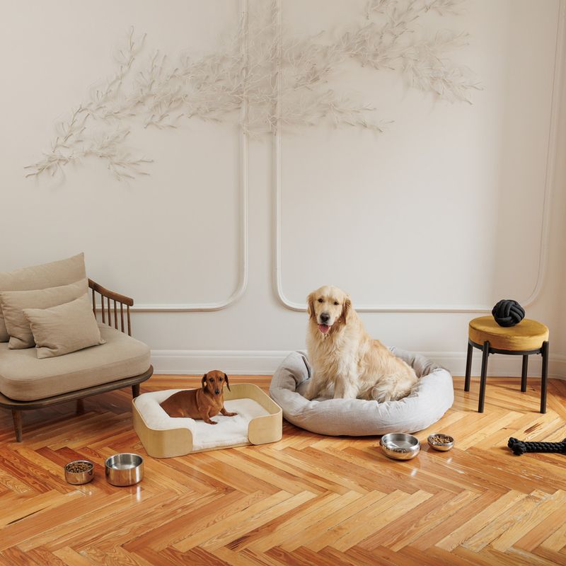 Modern Living Lhasa Double-walled Premium Bowl 1.2 Litres (diameter 19.3cm)