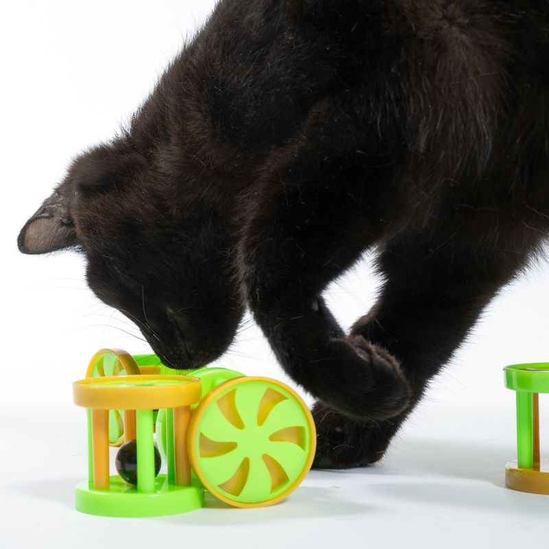 zooplus Basics Cage with Marble Toy - 4 Piece Set 4 Piece Set