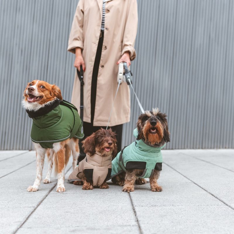 Nomad Tales Bloom Dog Coat - Quilted Comfort approx. 45cm Back Length