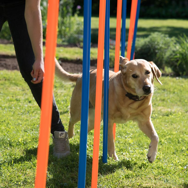 Agility Fun & Sport Slalom Set 12-pack