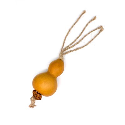 Aumüller Silvervine Dental Toy Pumpkin 1 piece